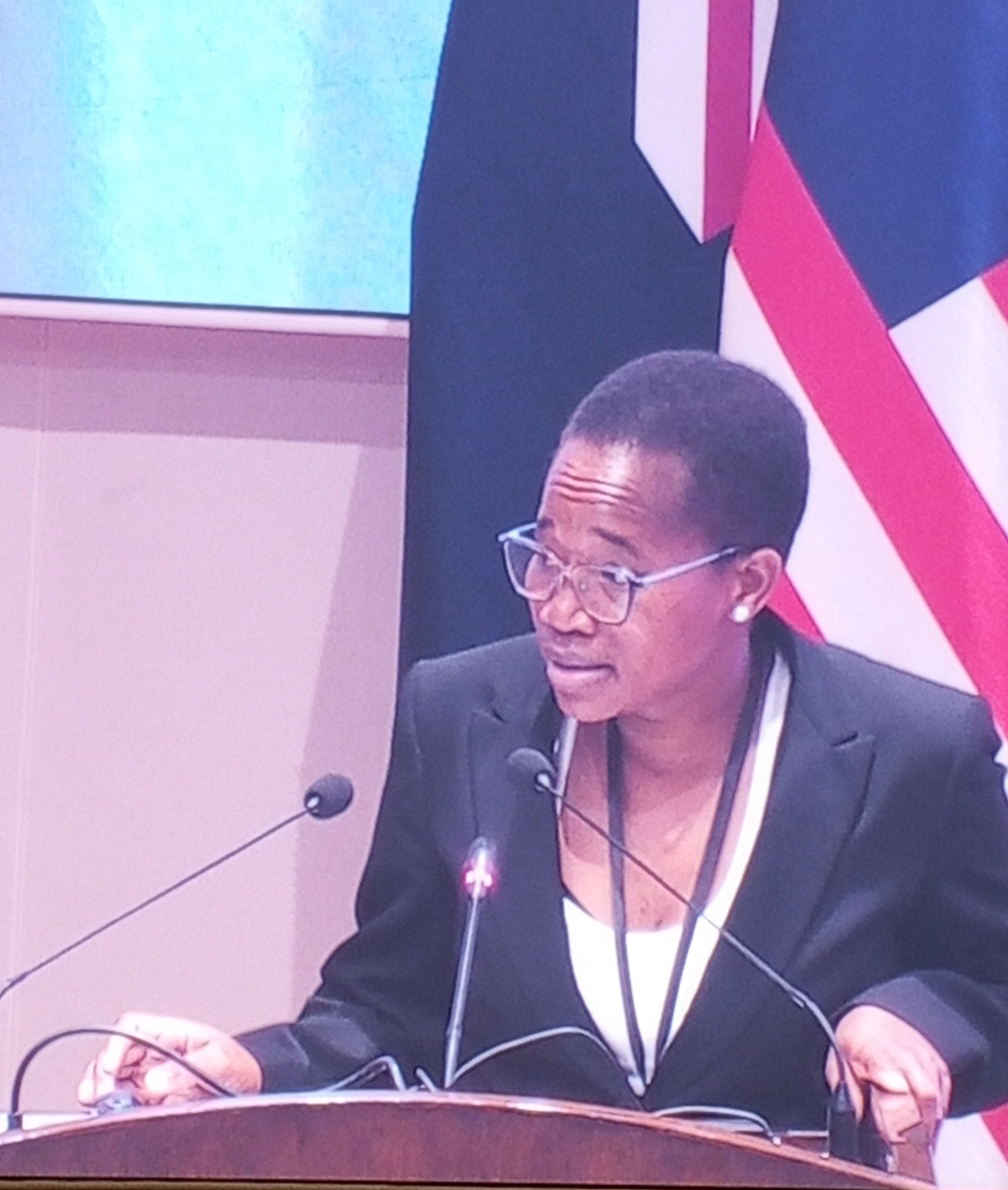 Honourable Justice Violet Chipao during the meeting