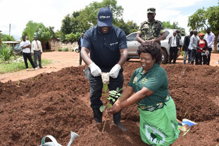 The Honourable Chief Justice Rizine R. Mzikamanda, Sc Leads The Malawi Judiciary In Tree Planting 