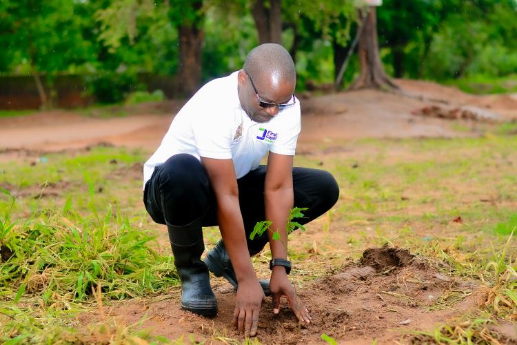 Judiciary Tree Planting 2024