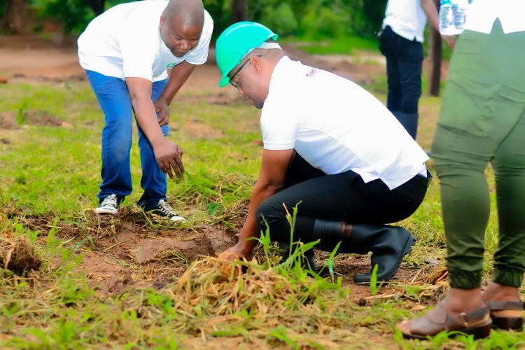Judiciary Tree Planting 2024