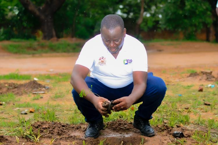 Judiciary Tree Planting 2024