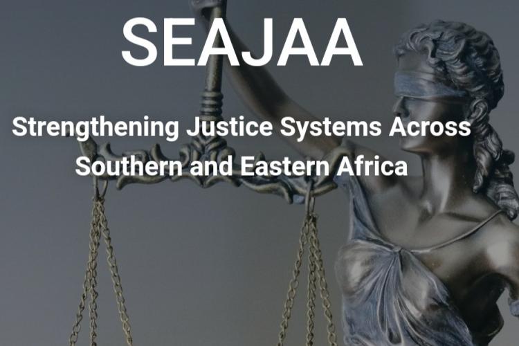 A Website for SEAJAA is born
